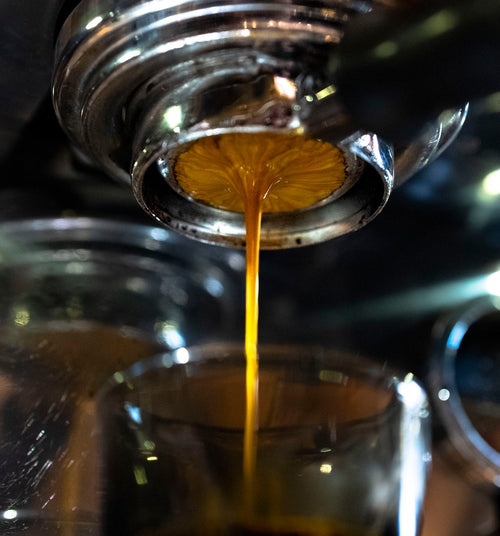Espresso Brewing Class